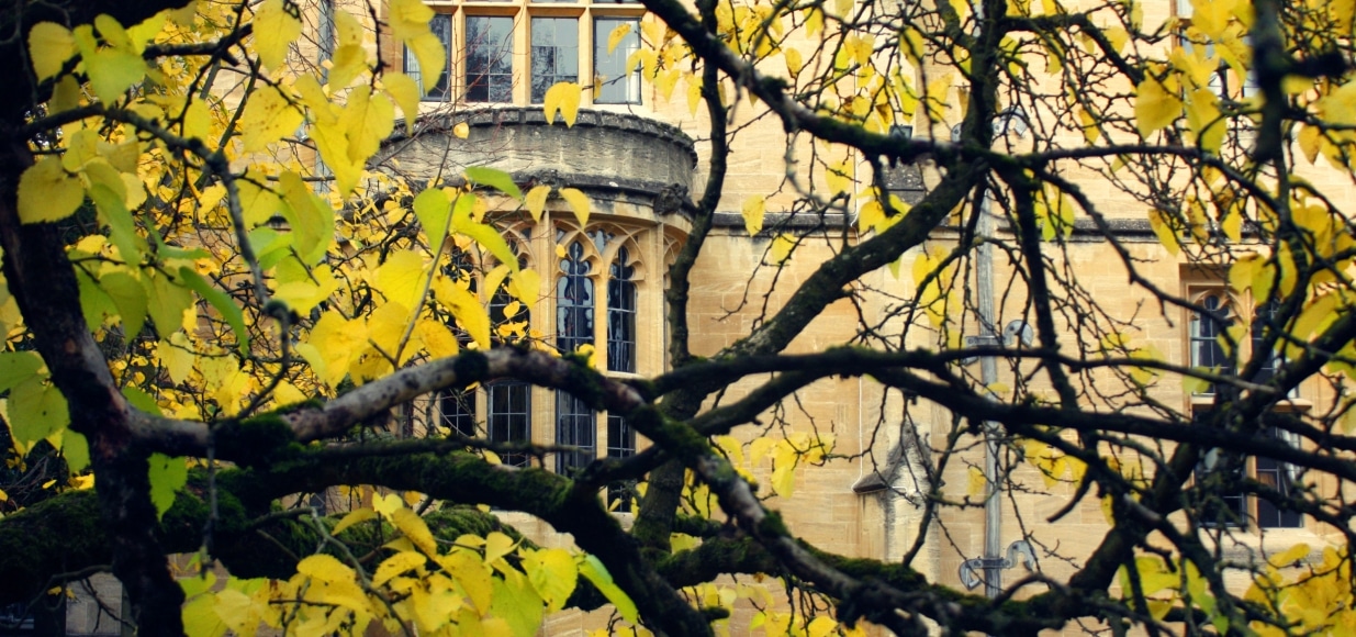 Autumnal photo of Main Building through tree branches.
