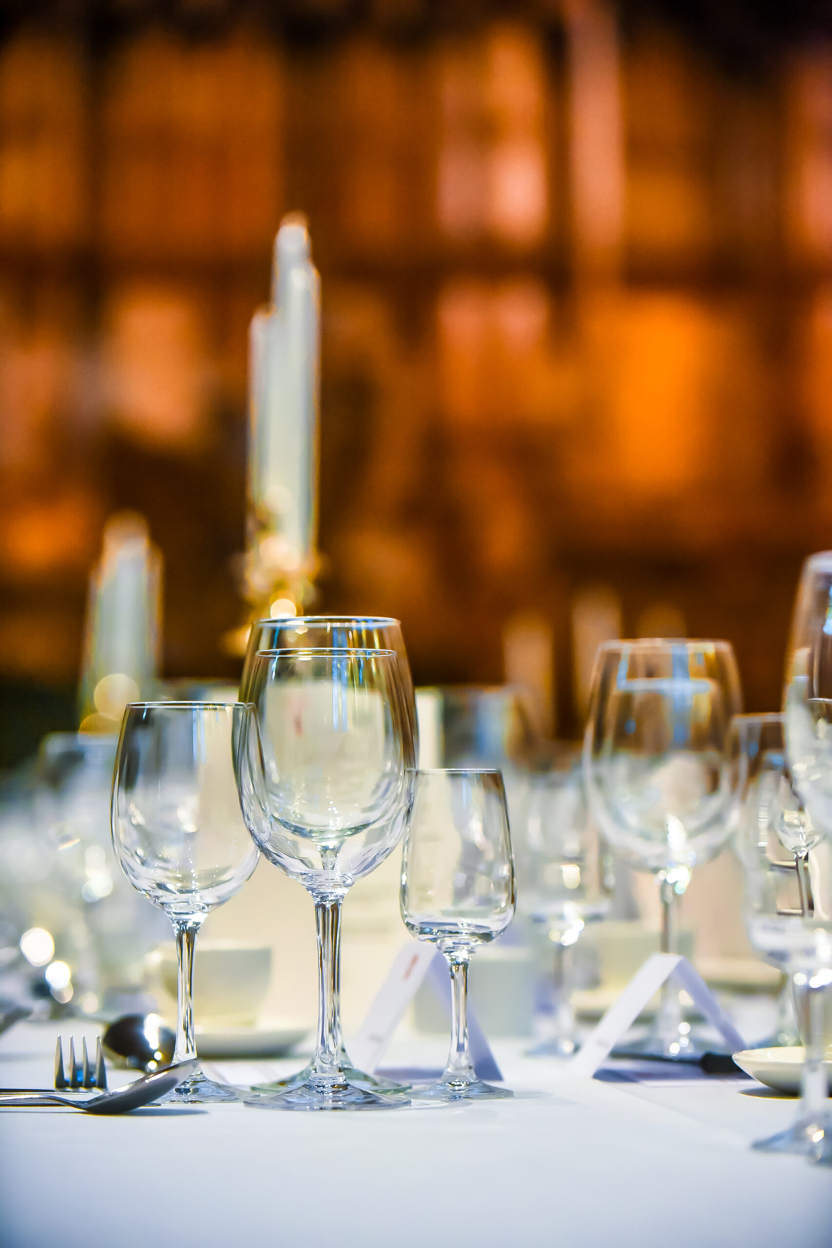 Gaudy dinner tableware