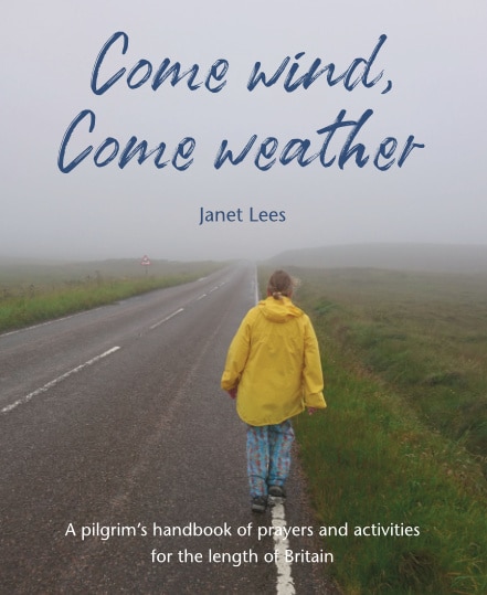 book cover of Come Wind, Come weather